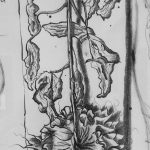Inkt tekening Zonnebloem